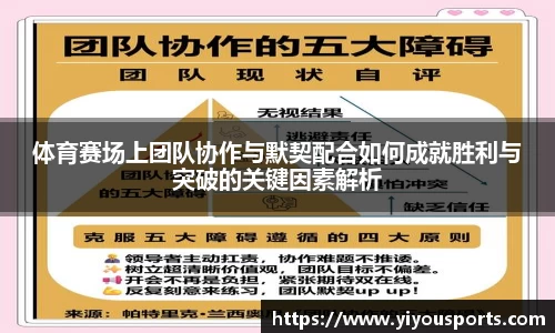 体育赛场上团队协作与默契配合如何成就胜利与突破的关键因素解析